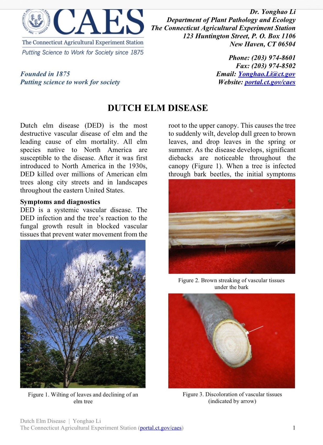 the first page of the Dutch elm diseaes fact sheet of 