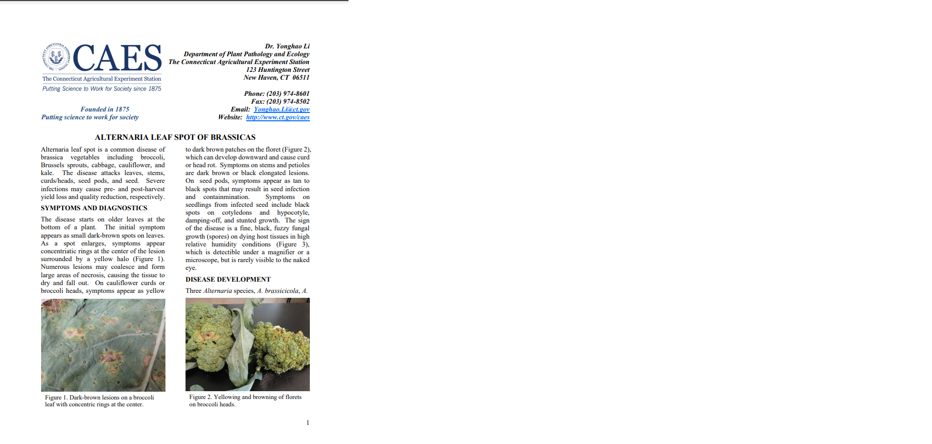 the first page of the fact sheet Alternaria leaf spot of brassicas