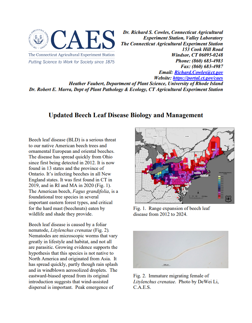 image of the first page of updated beech leaf disease biology and management fact sheet