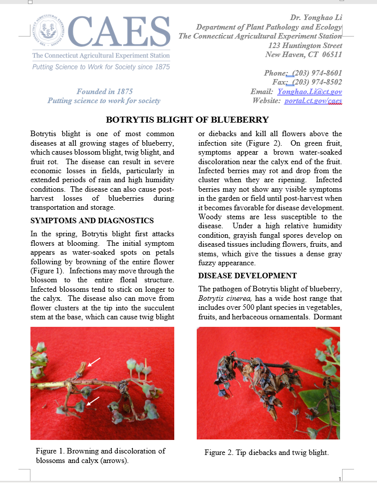 the first page of the fact sheet of Botrytis blight of blueberry