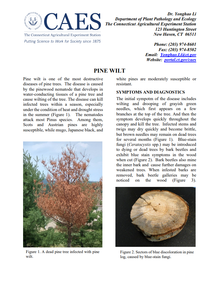 the firs pages of pine wilt fact sheet