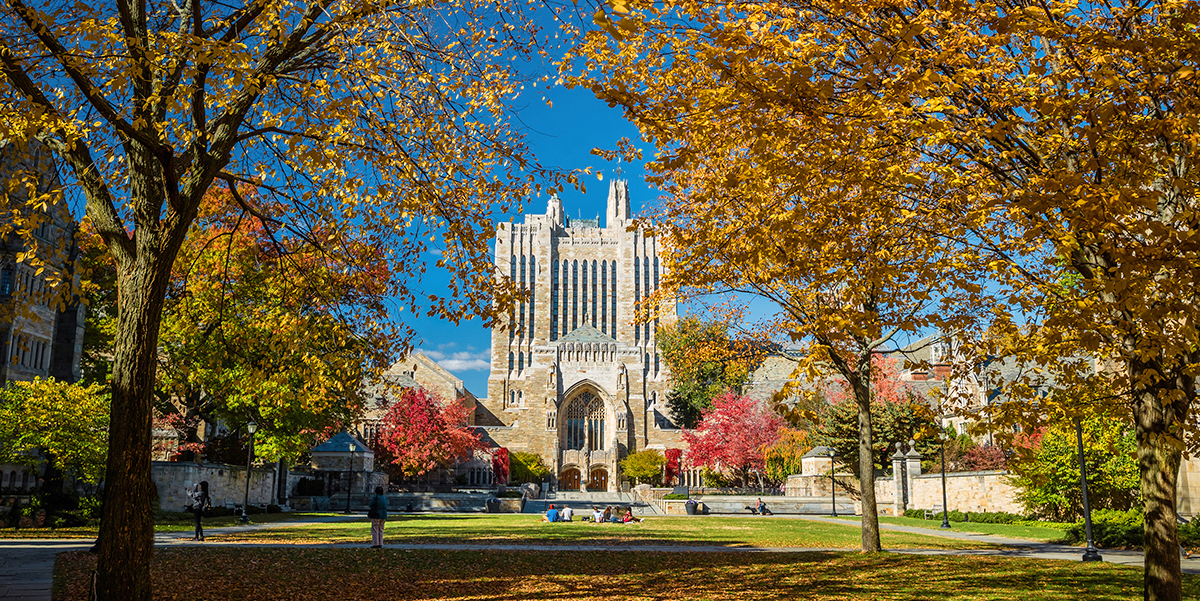 Yale