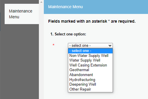 Select the type of report to be filed