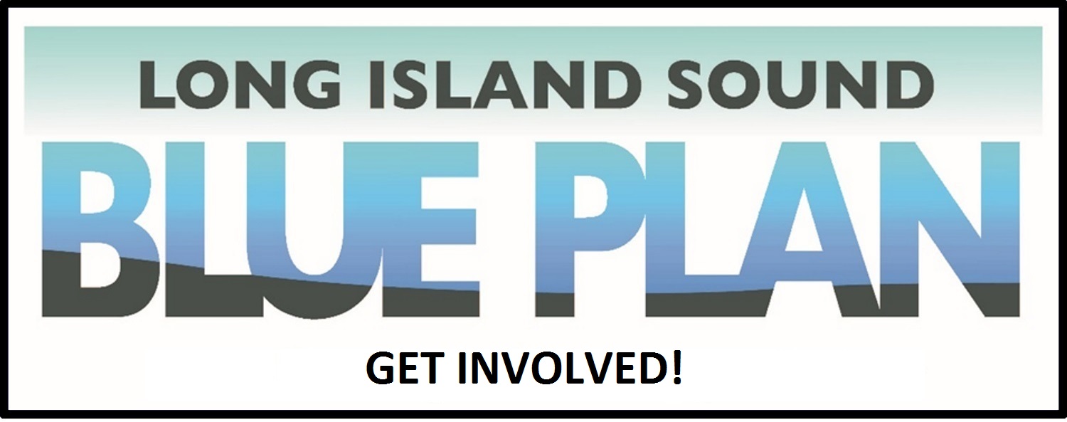 GET INVOLVED!