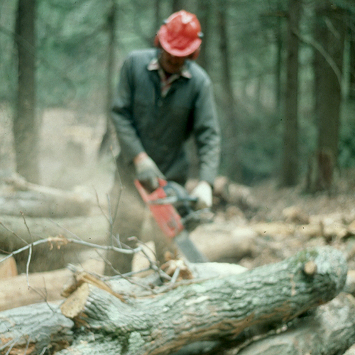 bucking logs