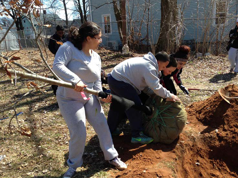 Tree Planting 