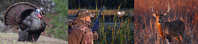 Hunt Connecticut