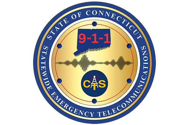 Division of Statewide Emergency Telecommunications logo.