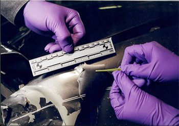 Processing large plastic bags for latent prints