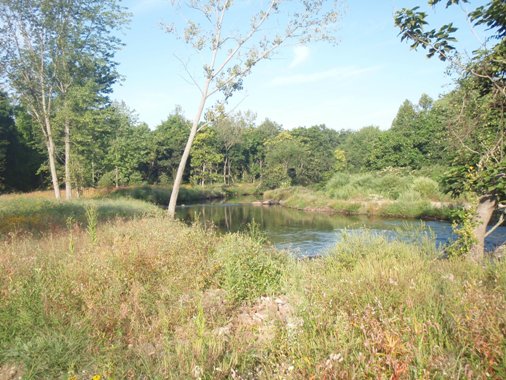 Water & Natural Resources Picture 1
