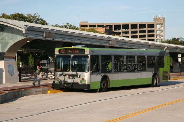 CT Buses