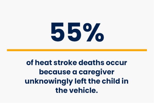 55% of heat stroke deaths occur because a caregiver unknowingly left the child in the vehicle - number facts - child passenger safety