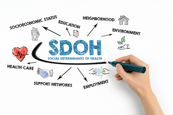employment, environment, education, neighborhood" and other words in the image. 